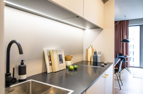 Design Serviced Apartment Darmstadt - S