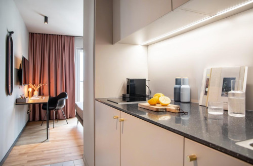 Design Serviced Apartment in Braunschweig - XS