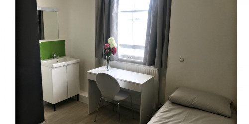 Leinster House - Rooms