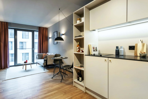 Design Serviced Apartment in Darmstadt - M - Gallery - 7