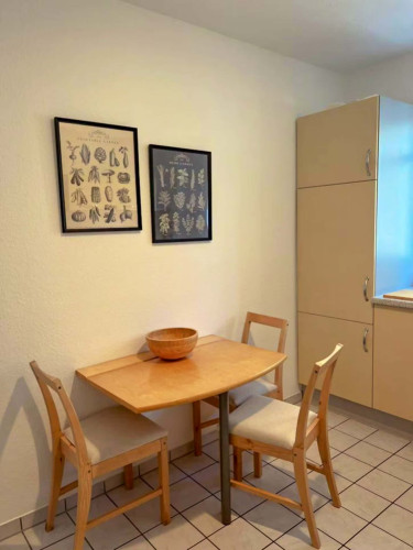 Koselstraße 48 2.stock - Small Room