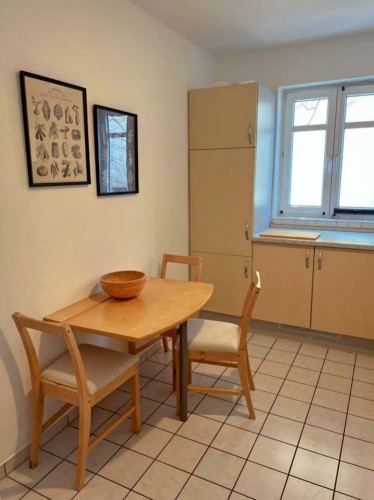 Koselstraße 48 2.stock - Big Room