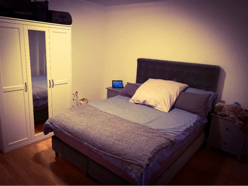 Parkstraße 11 5.stock Rechts - Big Room - Gallery - 11
