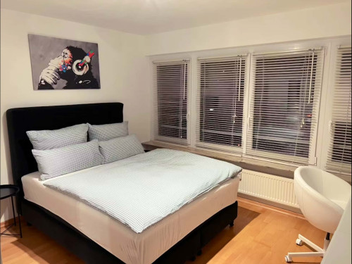 Parkstraße 11 2.stock Rechts - Big Room - Gallery - 7