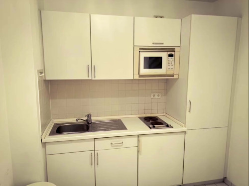 Parkstraße 11 2.stock Rechts - Big Room