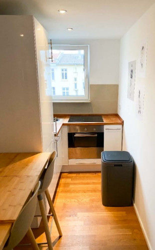 Staufenstraße 34 DG Links - Big Room - Gallery - 6