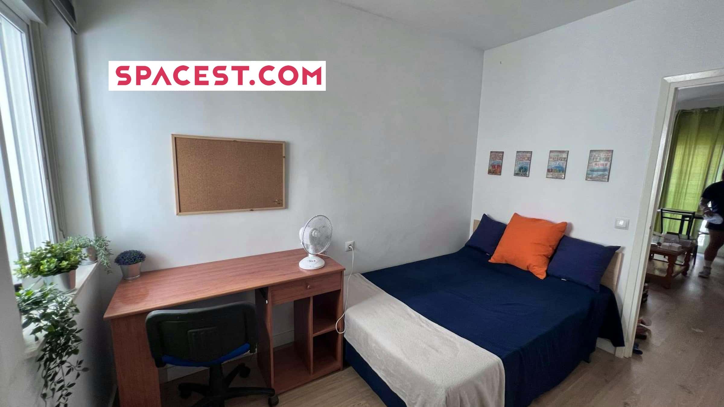 Calle Tirso De Molina H1 - Calle Tirso de Molina H1 - Gallery - 1
