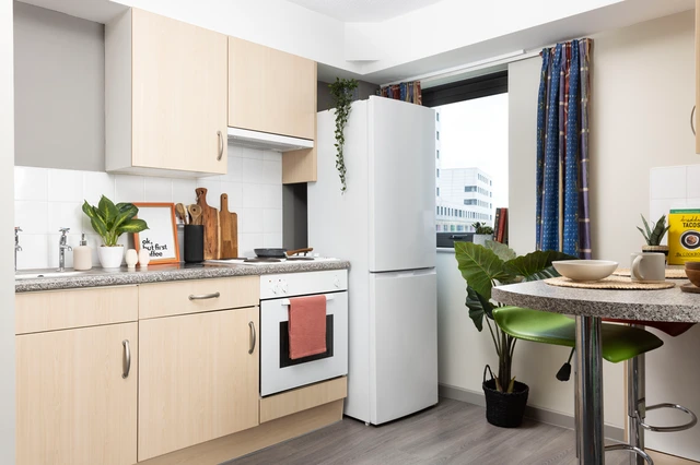  Double Wheelchair Accessible Studio  -  Unite Students Concept Place  - Gallery -  2