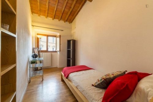 Cozy single room close to Florence city centre