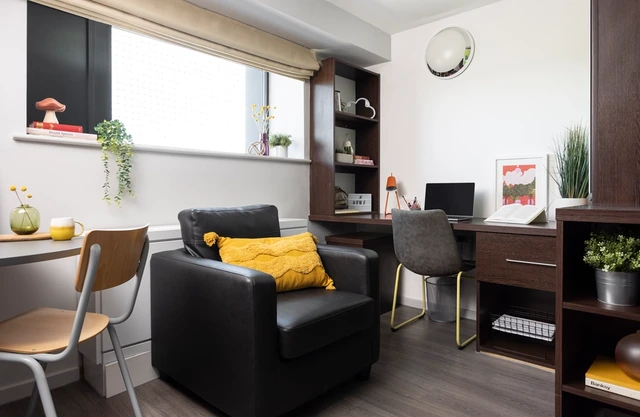  Large High Double Studio  -  سكاي بلازا  - Gallery -  3