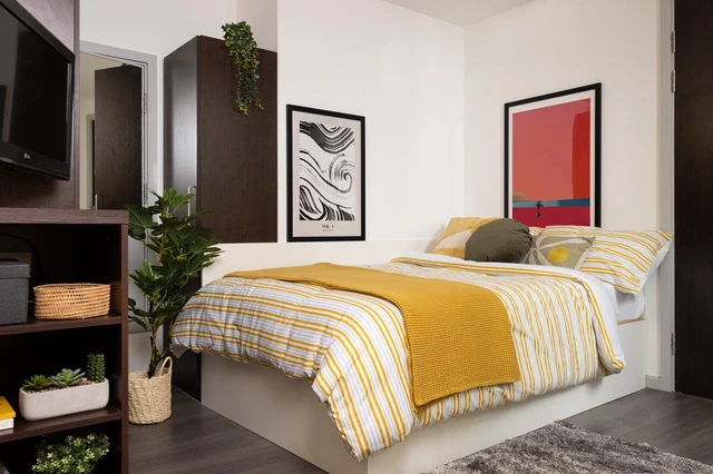  Extra Large Highest Double Studio  -  سكاي بلازا  - Gallery -  1