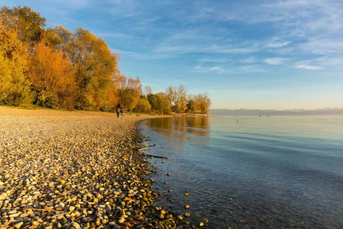 Geschmackvolle und geräumige Wohnung mit drei Zimmern sowie Loggia und Einbauküche in Friedrichshafen