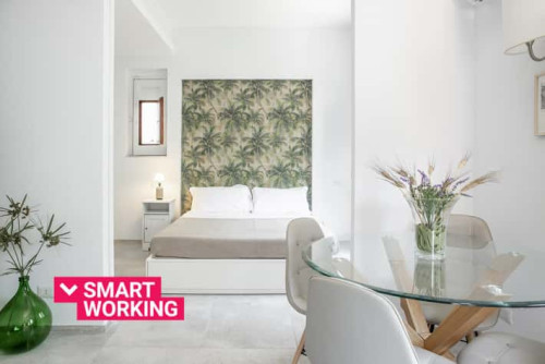 Euphorbia Apartment