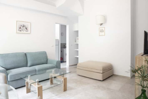 Euphorbia Apartment  - Gallery -  5