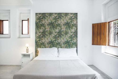 Euphorbia Apartment