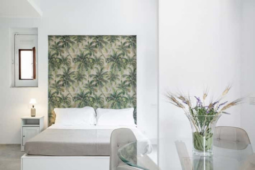 Euphorbia Apartment