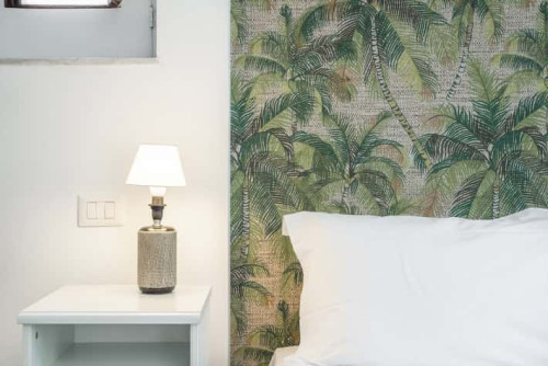 Euphorbia Apartment