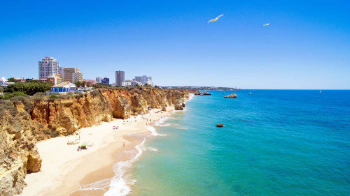 Cozy Apartment 50 m walk from Praia da Rocha Beach - Gallery - 12