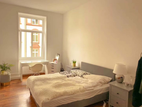 Fürstenbergerstraße - Big Room - Gallery - 6
