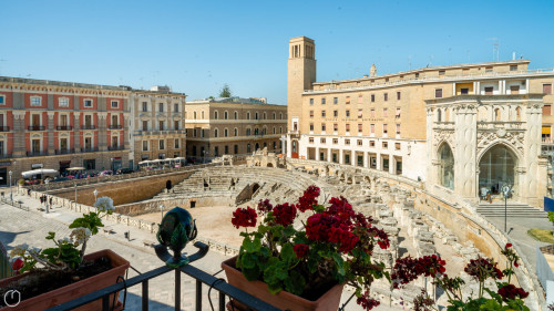 Di Biccari 6 - Gallery - 11