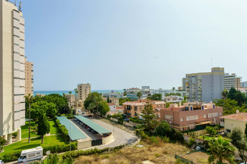 Beautiful Coast - Gallery - 25