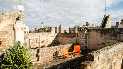 Santa Maria dei Veterani 16 - Gallery - 9