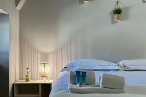 [Torino Centro] Romano Suite