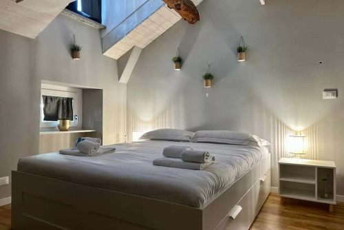 [Torino Centro] Romano Suite