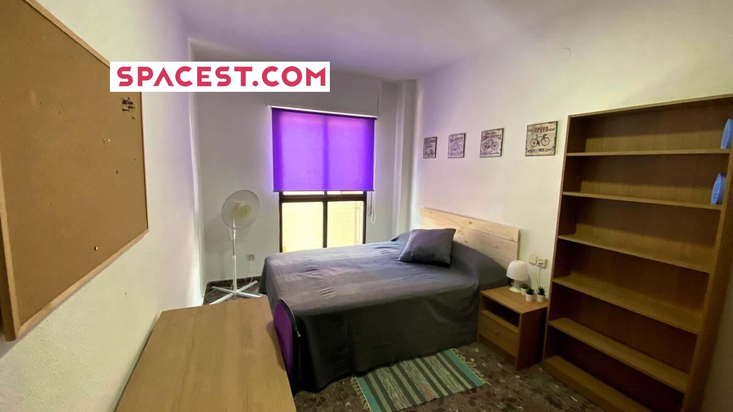  Calle Serreta H1 Apt12  -  Calle Serreta H1 apt12  - Gallery -  1