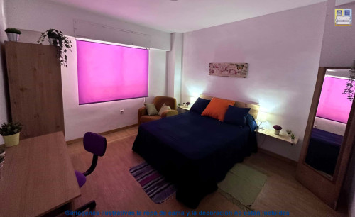 Calle Capitanes de Ripoll H3 apt 9 - Gallery - 26