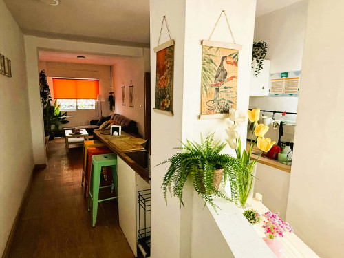 Calle Capitanes de Ripoll H1 apt 9 - Gallery - 23