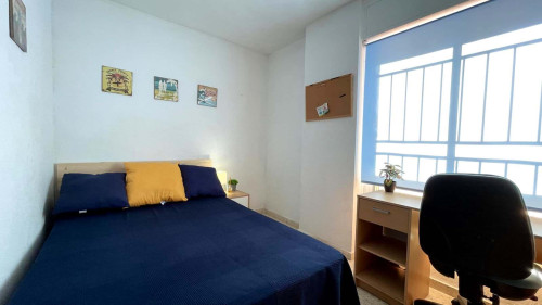 Calle Carlos III H3 apt3 - Gallery - 48