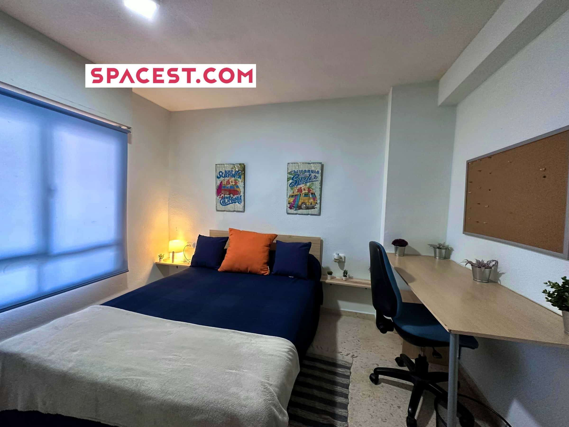 Calle Carlos III H1 Apt3 - 1