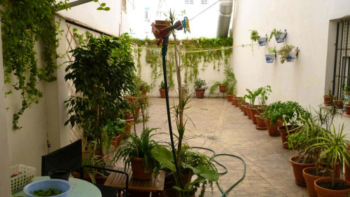 Calle Carlos III H4 apt 1 - Gallery - 25
