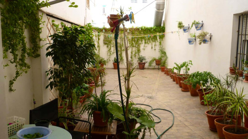 Calle Carlos III H4 apt 1 - Gallery - 55