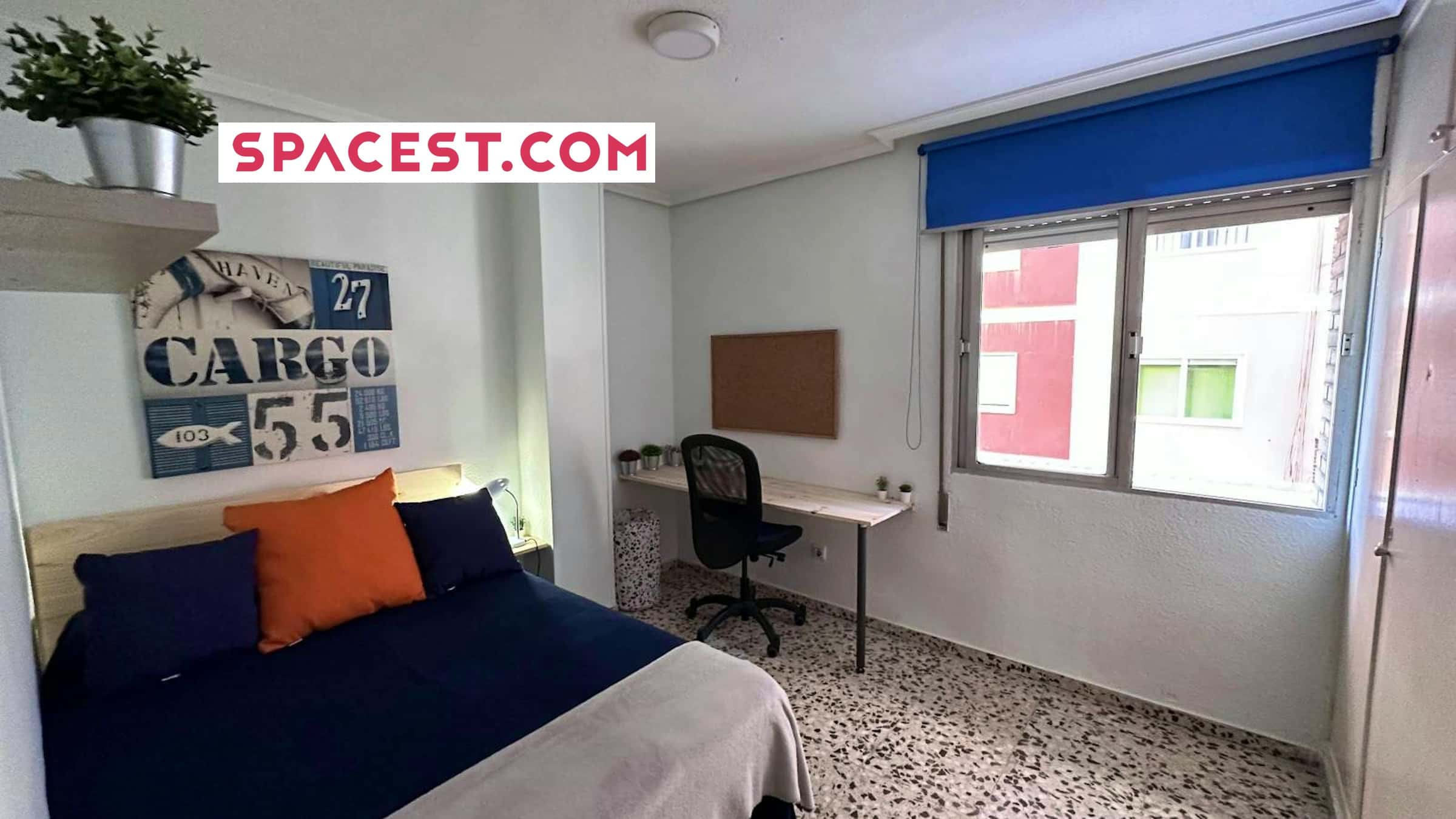  Calle Carlos III H4 Apt 1  -  Calle Carlos III H4 apt 1  - Gallery -  1