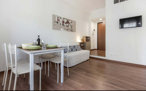 Grazioso e confortevole appartamento in San Jacopino