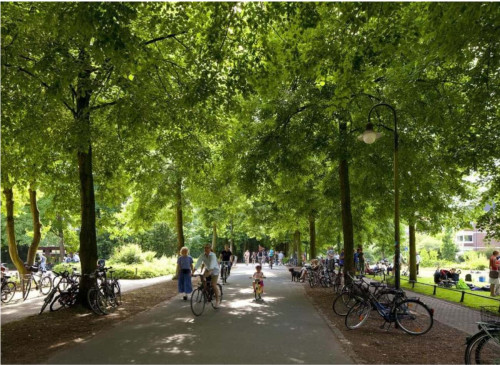 Ruhiges und modernes Zuhause in Top-Lage Münster **** - Gallery - 22