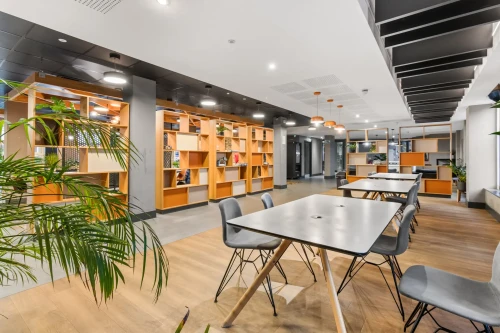 CANVAS the heights  - Gallery -  2