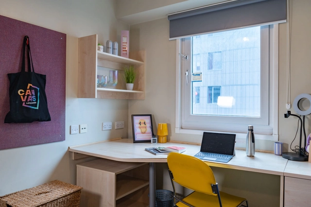  Platinum Studio  -  CANVAS the heights  - Gallery -  2