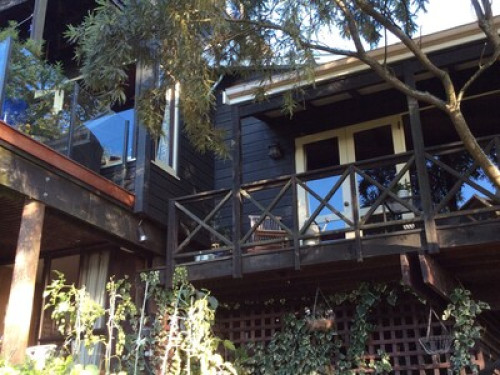 Arbutus Homestay (City treehouse) - Gallery - 9