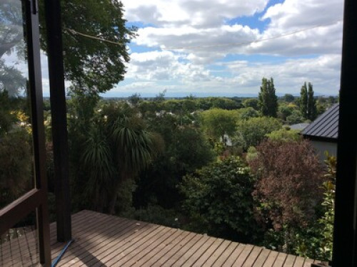 Arbutus Homestay (City treehouse)