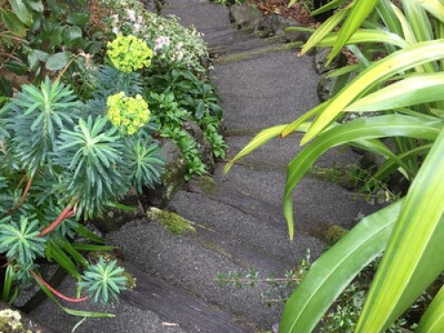 Arbutus Homestay (City treehouse) - Gallery - 8
