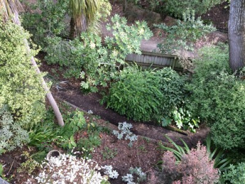 Arbutus Homestay (City treehouse) - Gallery - 21