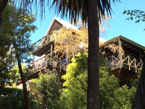 Arbutus Homestay (City treehouse) - Gallery - 14