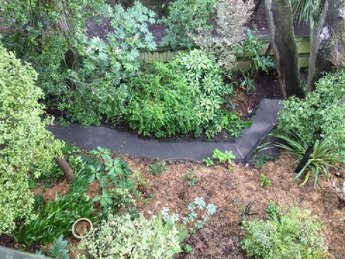 Arbutus Homestay (City treehouse) - Gallery - 10