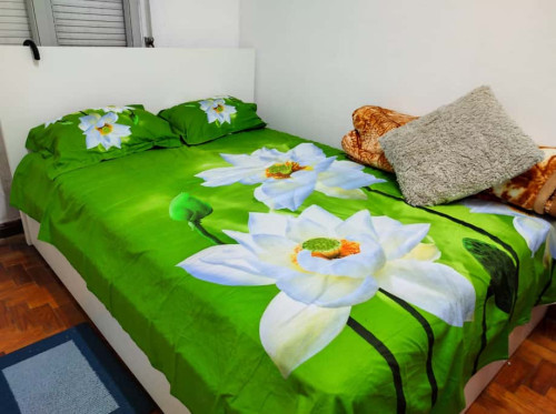 Comfortable room in a 4 bedroom apartment in Lisbon - Room 3