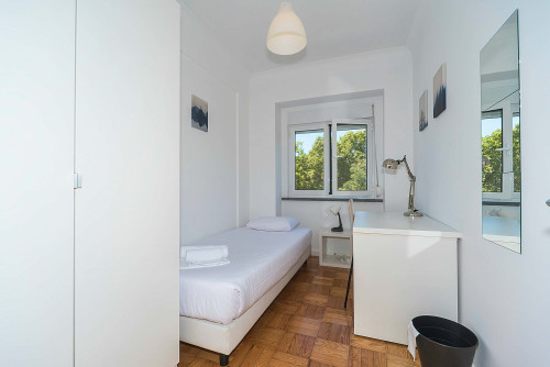 Estrada das Laranjeiras (Students only)