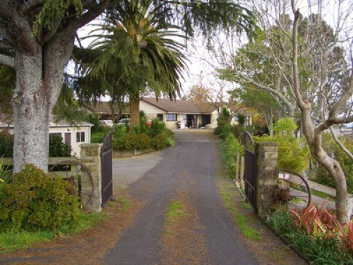 Friendly family in Bay of Plenty