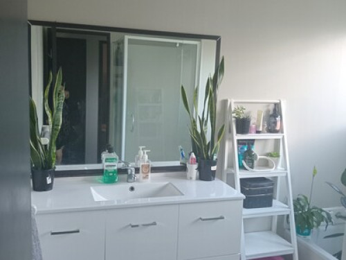 Working Nana with spare room